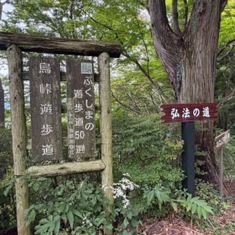 時間があればのんびり散策したかったな🚶‍♀️