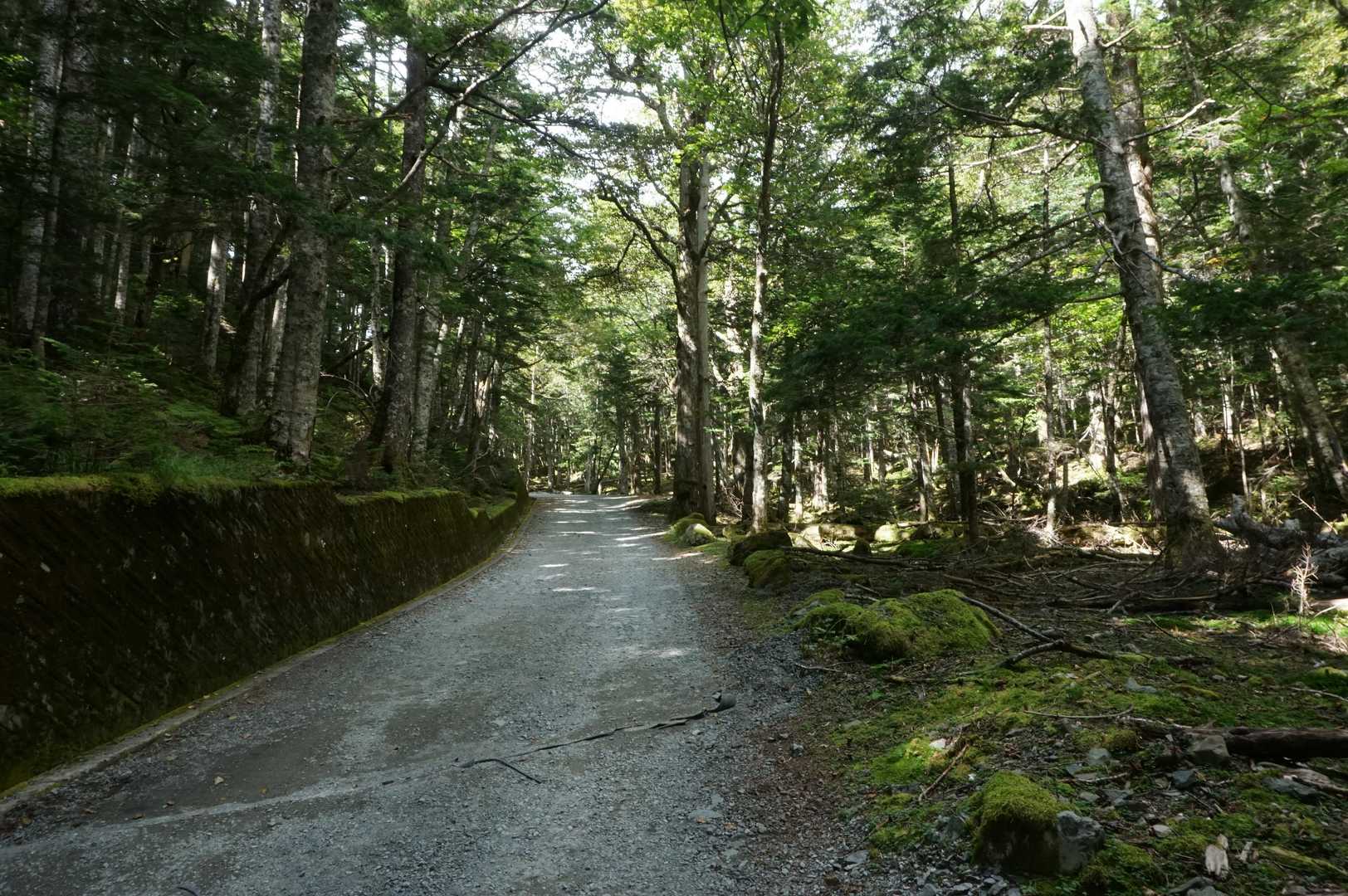 最後の登りを忘れてた…