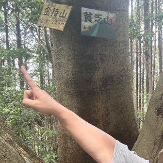 こっちがイイ☝️
藪蚊🦟🦟🦟
下山↘️↘️↘️