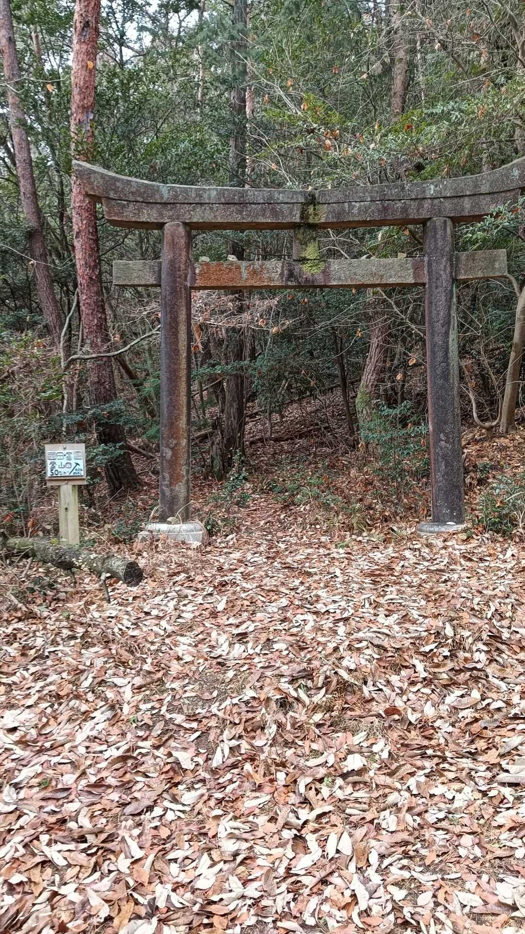 行きには気づかなかった⛩️
ココをくぐって登山道だったようですが、ひたすら林道歩いてました😅