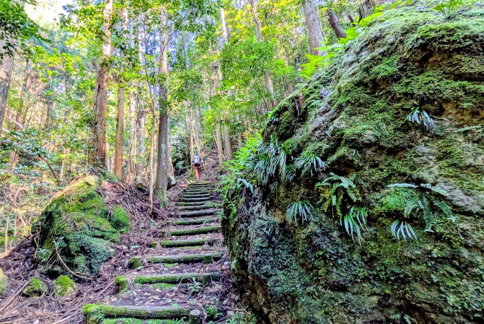 戦国ロマンを感じる「 鉈尾山城(なたおやま)城跡」が山頂にあり四方を急峻な岩壁に囲まれた要害だったそうです。