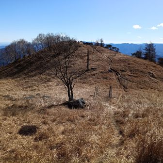 すぐ隣の白谷小丸にも立ち寄りました。