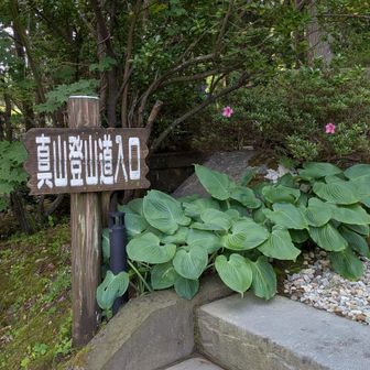 登山道は参道