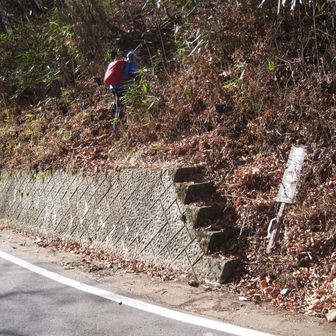 嵯峨塩鉱泉まで戻り、急階段から始まる登山道。フォロワーさんの投稿で見てたので直ぐに分かりました。