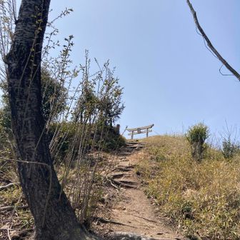 鳥居がみえるココ、あがる⤴️