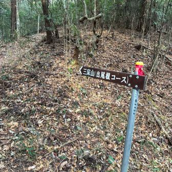 出尾根コースで！