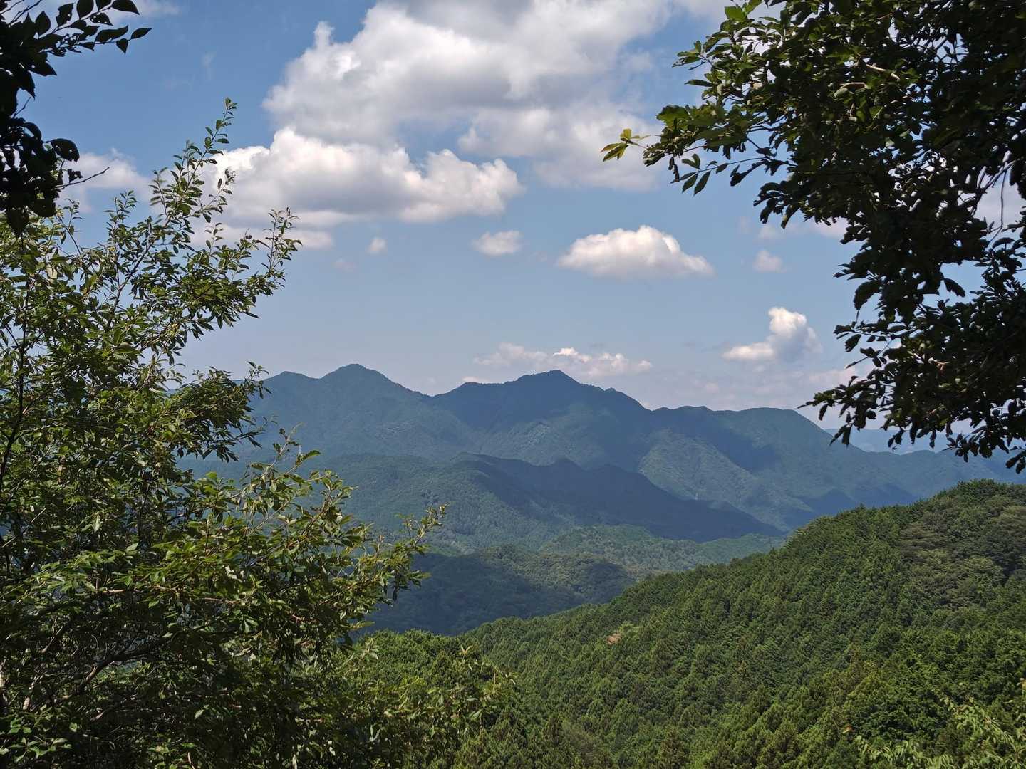 堀坂峠-堀坂山 往復コースの写真