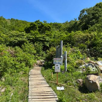 毛無岱登山口より
