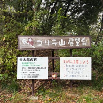 ゴリラ山行くよ↗️