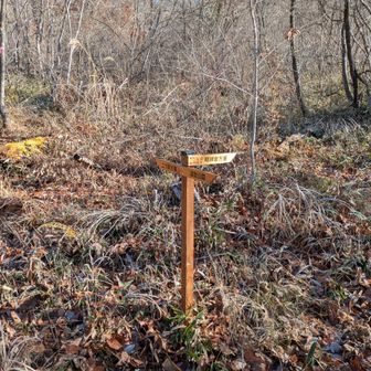 ここは明神岩方面に