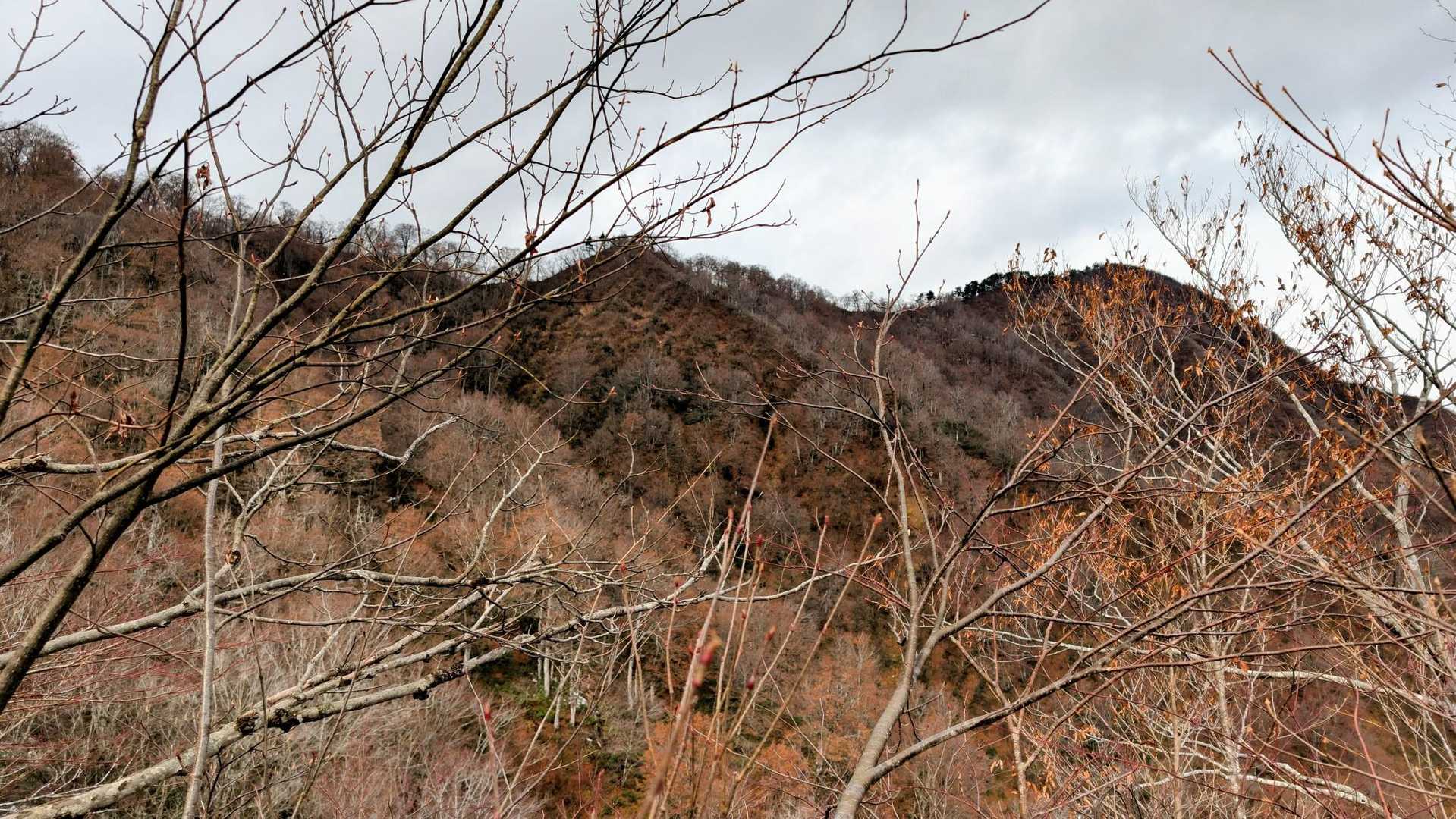 山頂と稜線👍