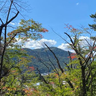 お！藻岩山様！今日程強く藻岩山様に登りたいと感じた日は無かったかも知れません(･∀･;