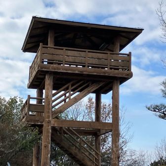 期待はできないけど上がってみよう！