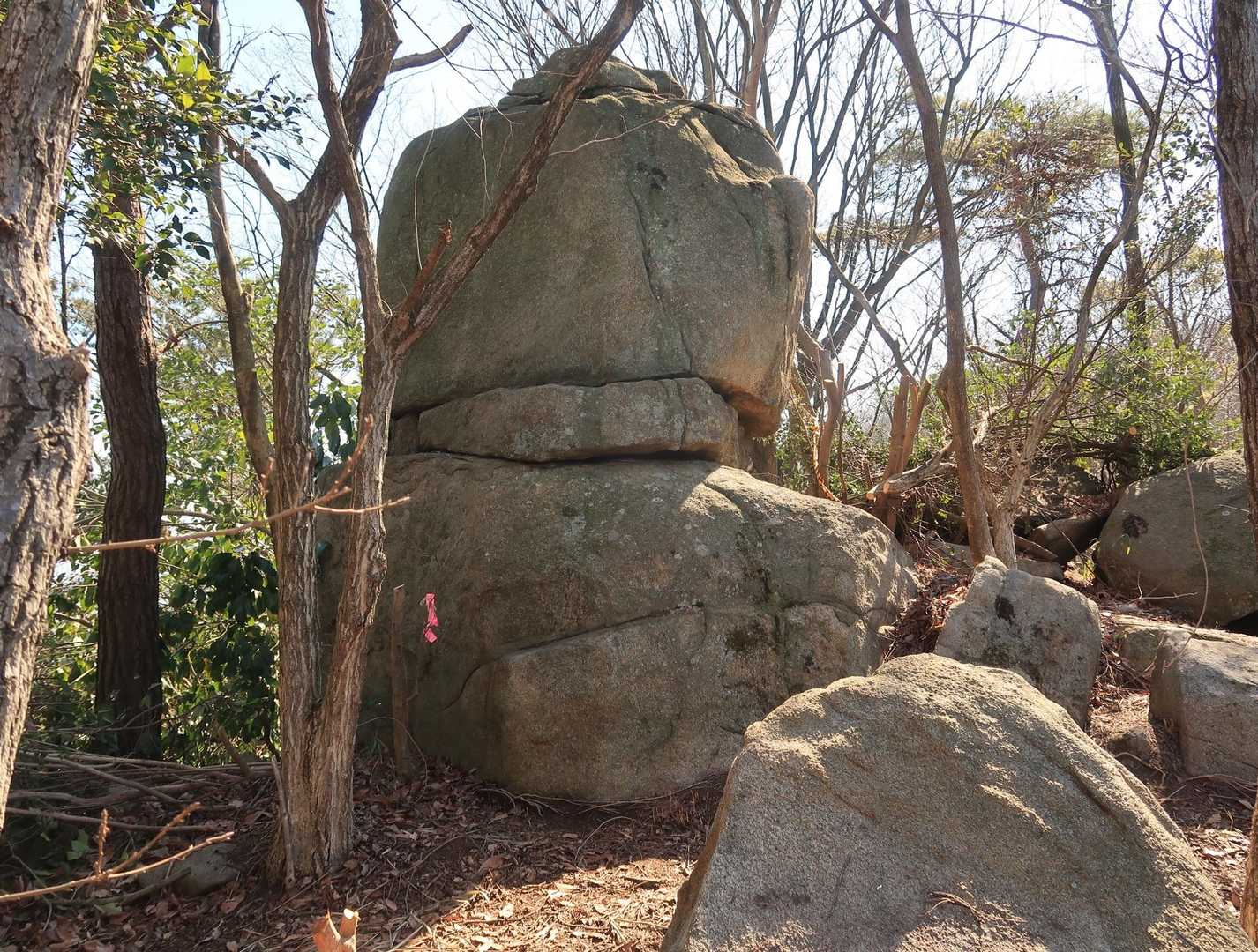 だるま落としの岩が🪨
不思議やね