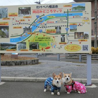 八幡温泉、賑わってました