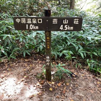第1ベンチで最後の休憩
ここまで、なかなかキツイ下りでした。