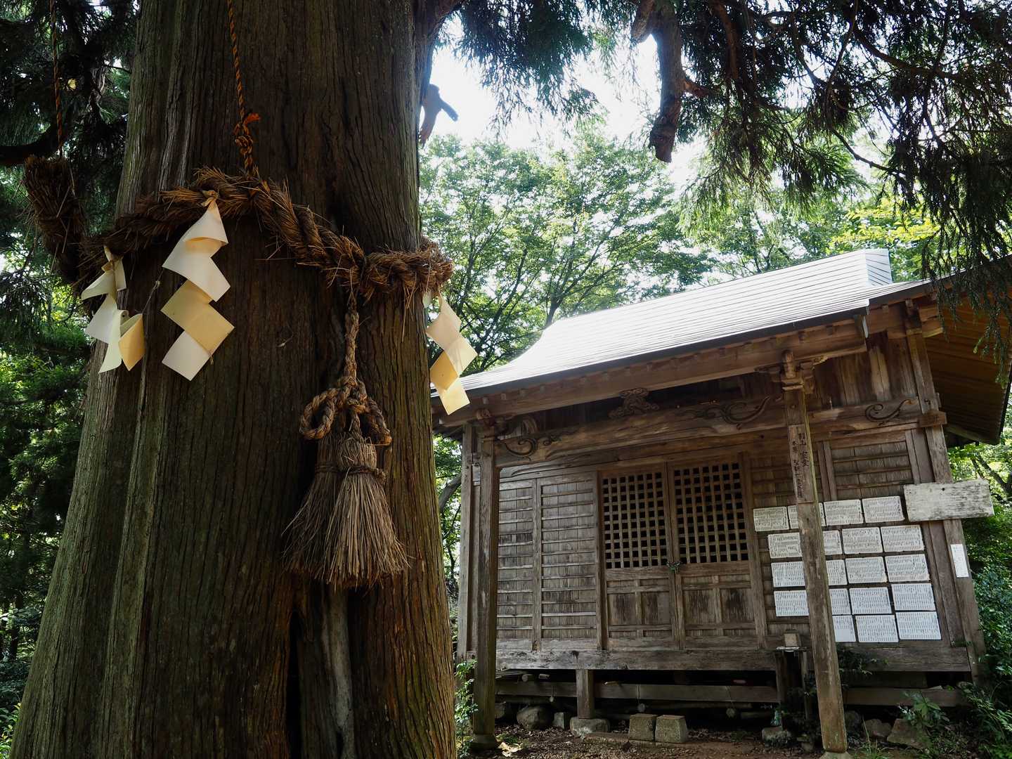 小文殊にある室堂と天狗杉。室堂には聖観音菩薩が祀られている