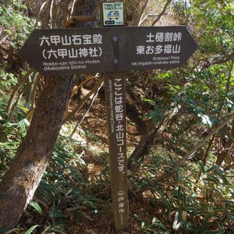 六甲山神社方面に向かいます。