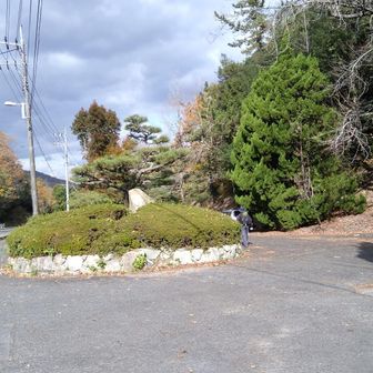 帰って来ました。