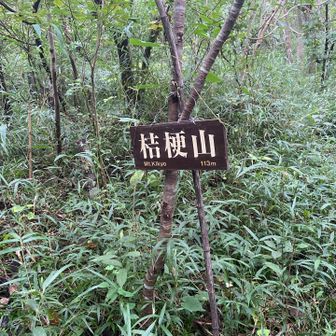 ここまで来るまでに藪漕ぎが酷かったー😫
セミファイナルが起動してビビりました。