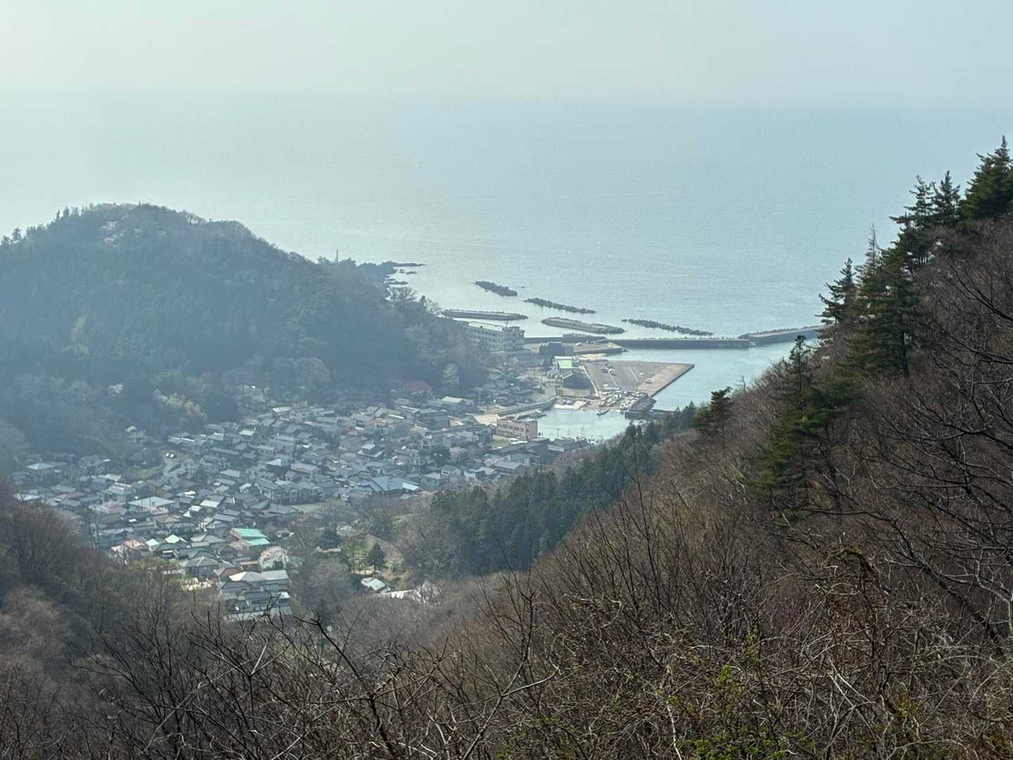 加茂港