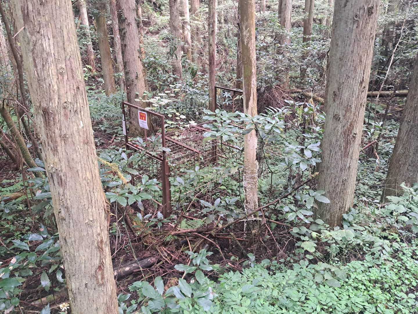 この罠は何を捕まえるためなんだろう…？
イノシシ？🐗
クマじゃないよね…？🐻‍(´ºωº｀)