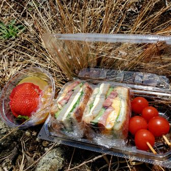 さぁ～お腹ペコリン
山友さんにも
じゃこ天サンドとミニ
トマト
デザート🍓🍎桜山の
鬼柚子ピール
👿悪魔のチョコパン
ゆっくり食べて
膝が焼けそうに暑い☀️😵💦よ！
