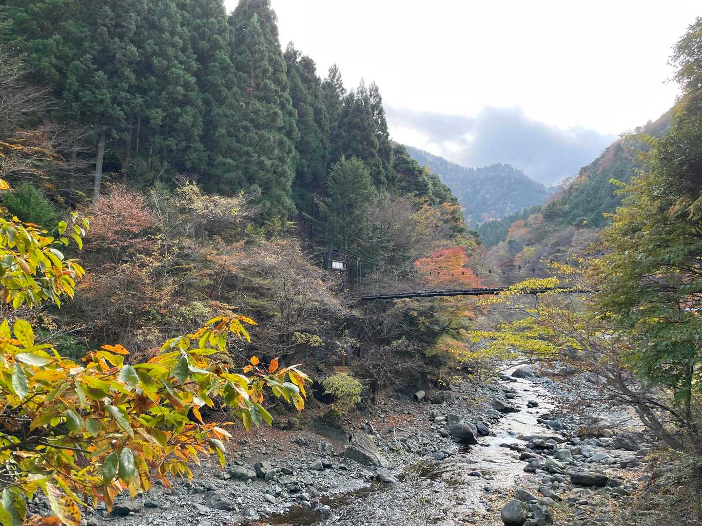 天王寺峠-モチゴヤノ頭-丹沢山 周回コースの写真