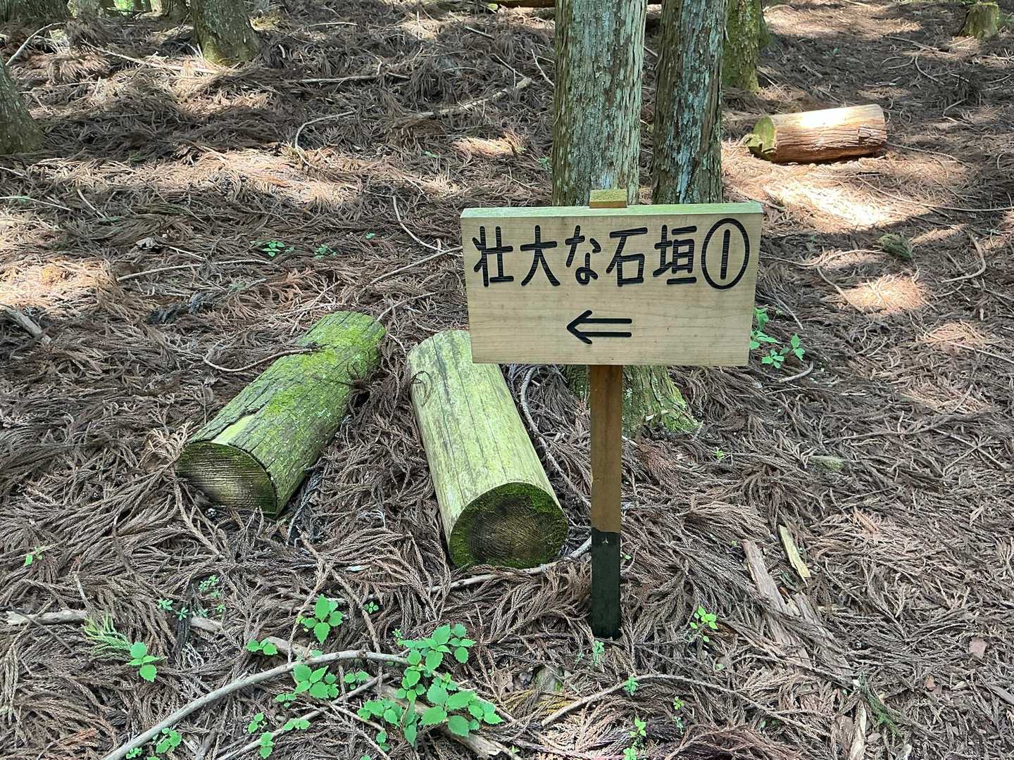 壮大な石垣①とな？