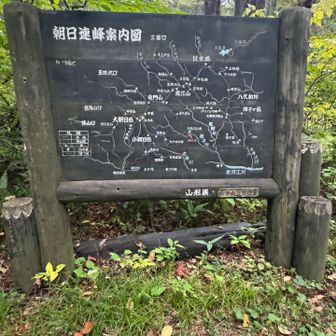 下山しました。