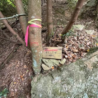千石岩の下。長等山からの分岐とこちらにわりと高い位置にロープ（と言っても通るな、という感じでもなく…）が🤔