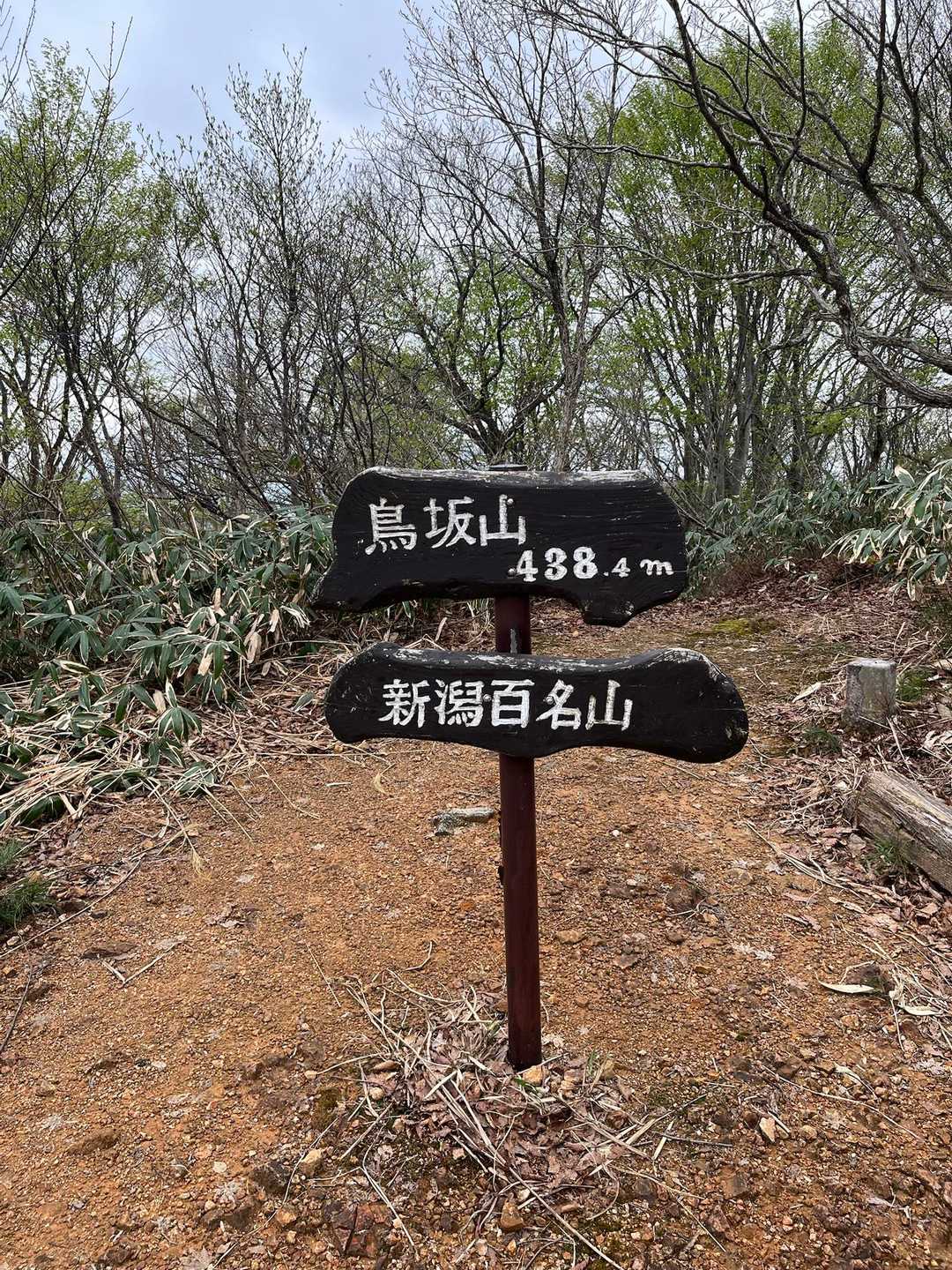 山頂標識