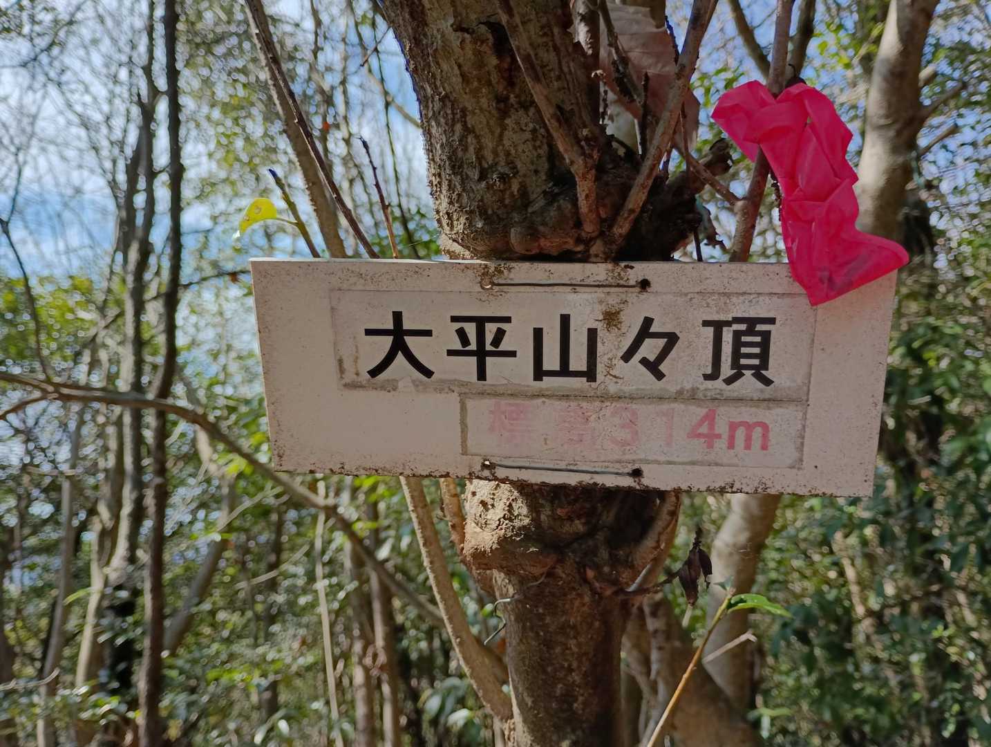 大平山登山口-金比羅宮-大平山 往復コースの写真