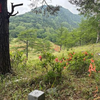 小屋沢ノ頭（二等三角点 乾徳山1,762.12ｍ）ここにも乾徳山があったとは…