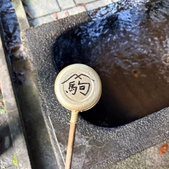 駒の柄杓
