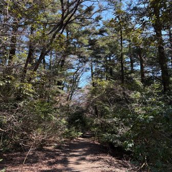 尾根歩きは気持ち良い🌱
