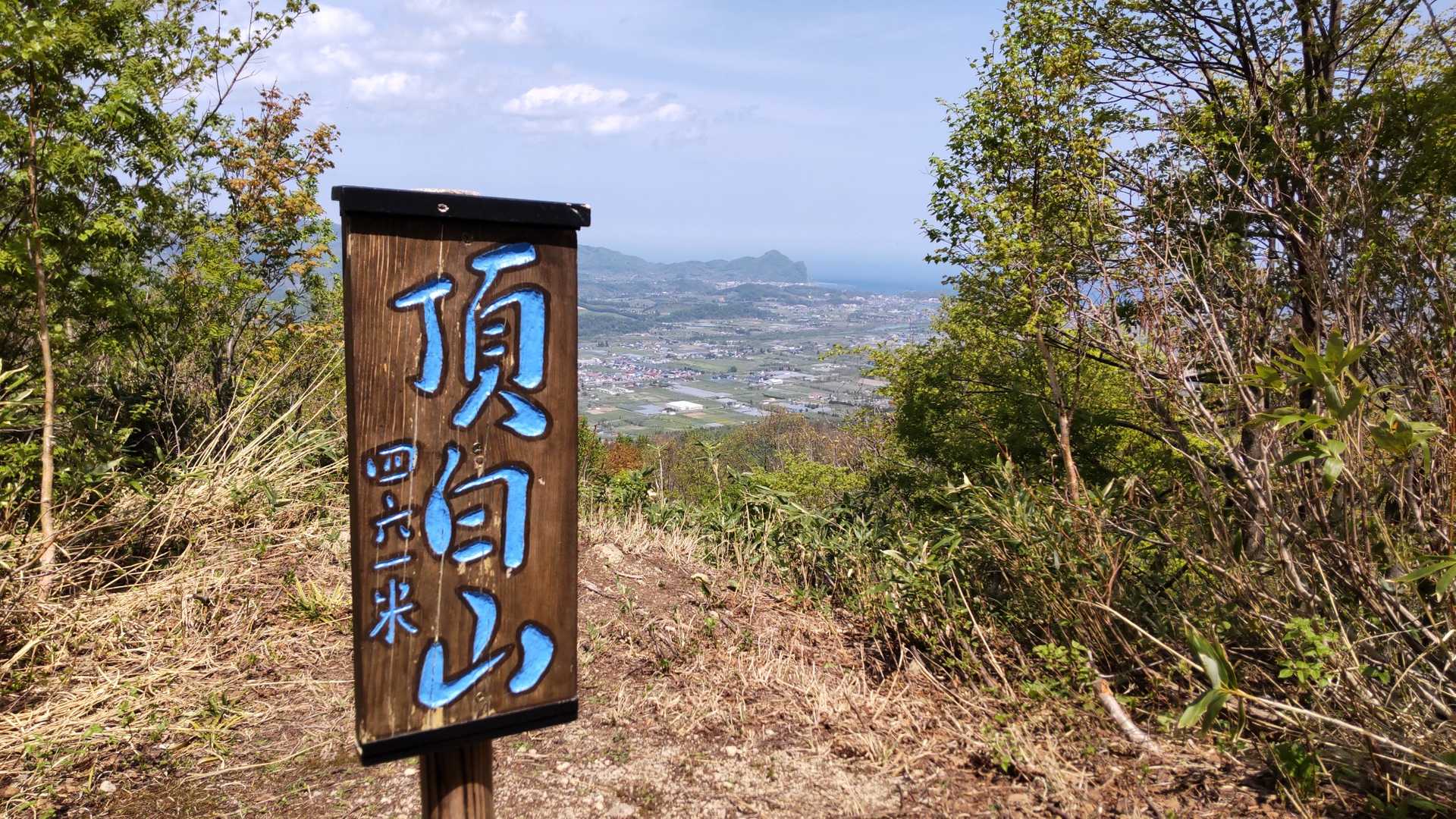 頂白山 往復コースの写真