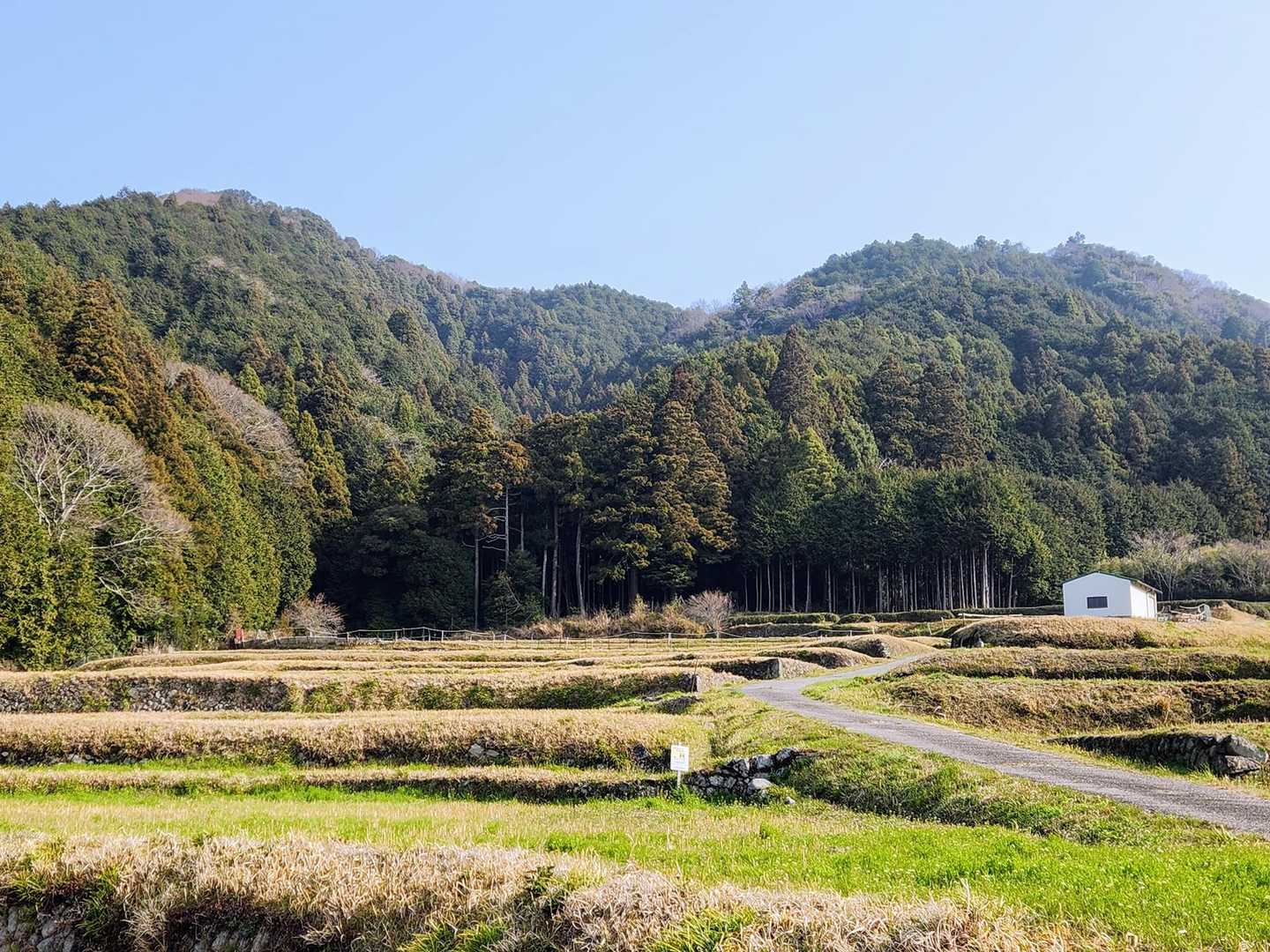 下山して、棚田を見学☺️