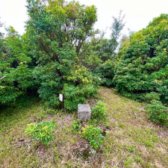 ミソウ台⛰️
蜘蛛の巣やら薮漕いで泥に汚れてたどり着いた目的地🏁
なんのご褒美もないこの感じが好きでクセになる
薮岩バリエーション🪨🌲