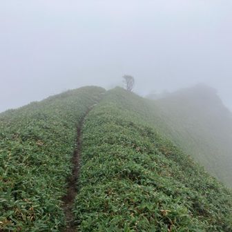 景色がなぁ