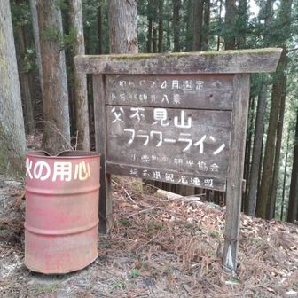 鐘撞峠に着きました。特に道標とかなかったです。そして山と高原地図にもあったけど「フラワーライン」って何だろう、何の花？

さて今回父不見山のルートを検討するにあたり、この先馬上(もうえ)まで尾根のバリルートも検討しました。でも私の🐢足とスキルでは無理すぎる。でも気になる。ということで途中までお試しで行ってみることに。