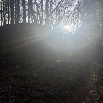 最後の急坂をグイッと登れば････