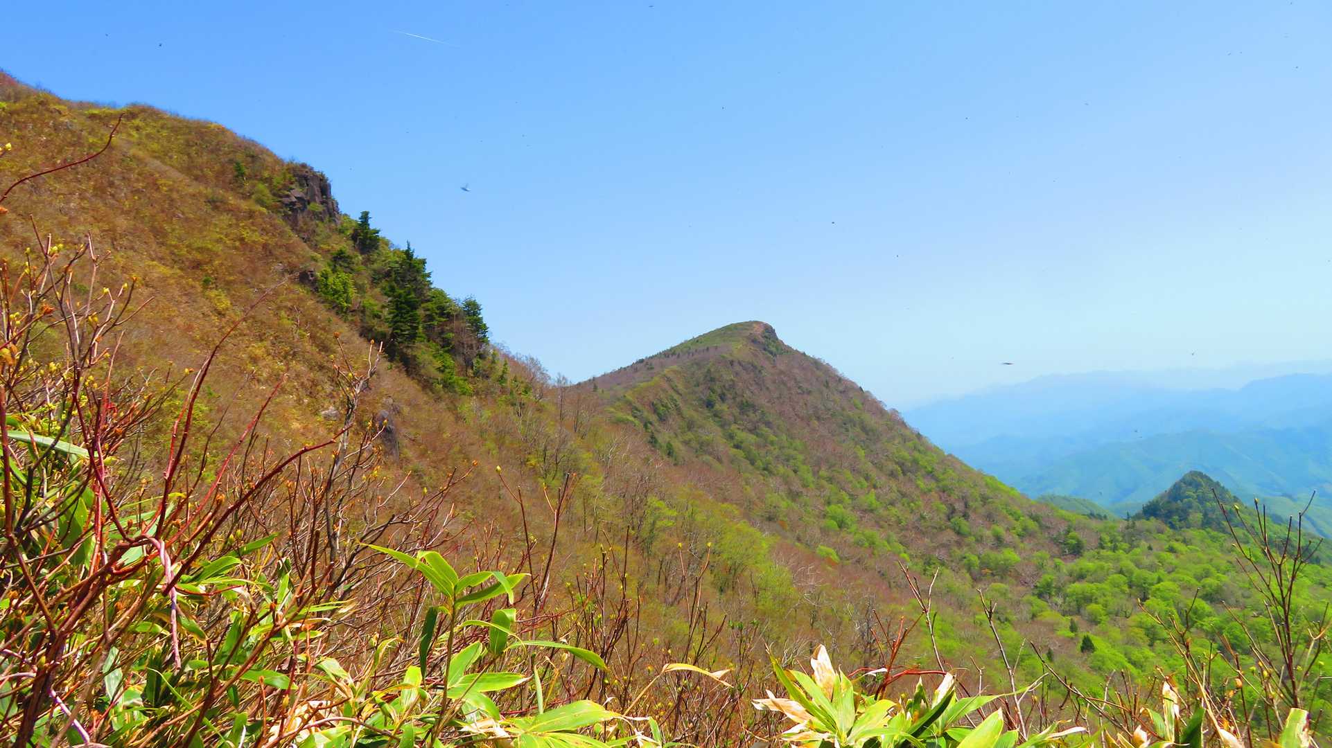 やっと七ヶ岳が見えてきましたが、左側は崖。山道は狭いです。