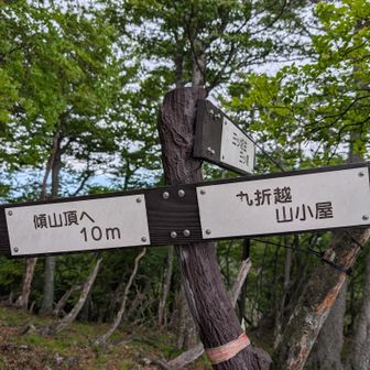 あとちょっと💪