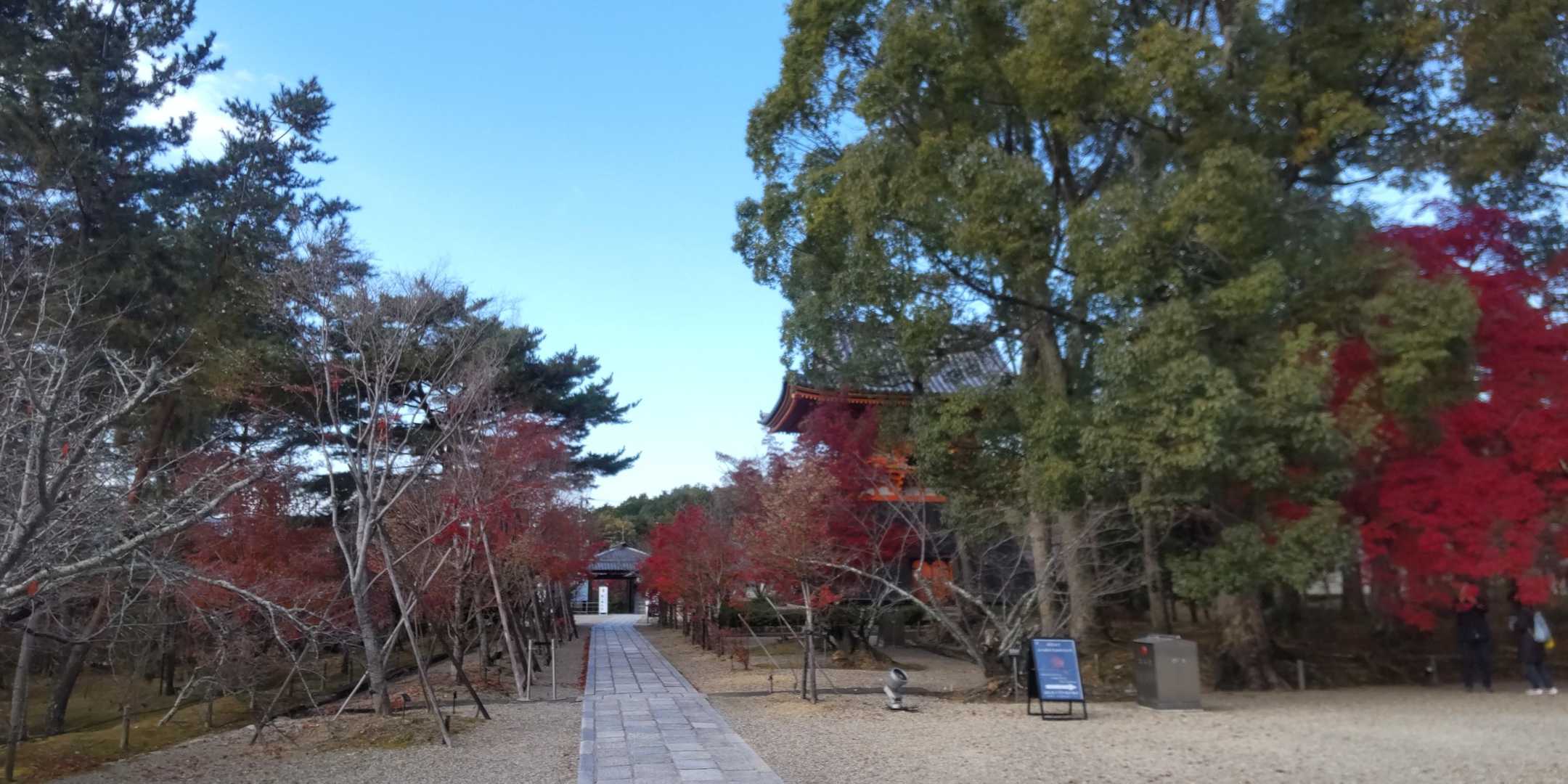 出発前に仁和寺境内を少し歩きます
