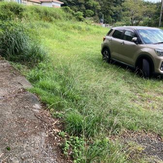 無事帰ってきた。