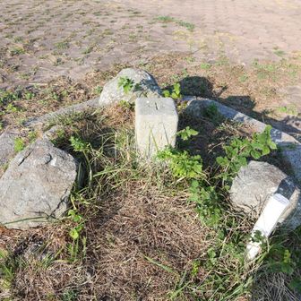 山頂にある三角点