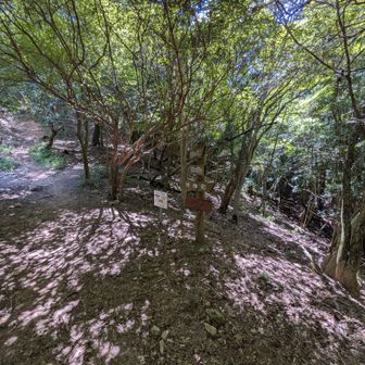山と言えば言えなくもない地形かな