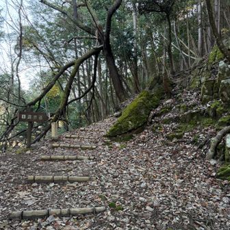 有子山稲荷神社横に登山口があります。