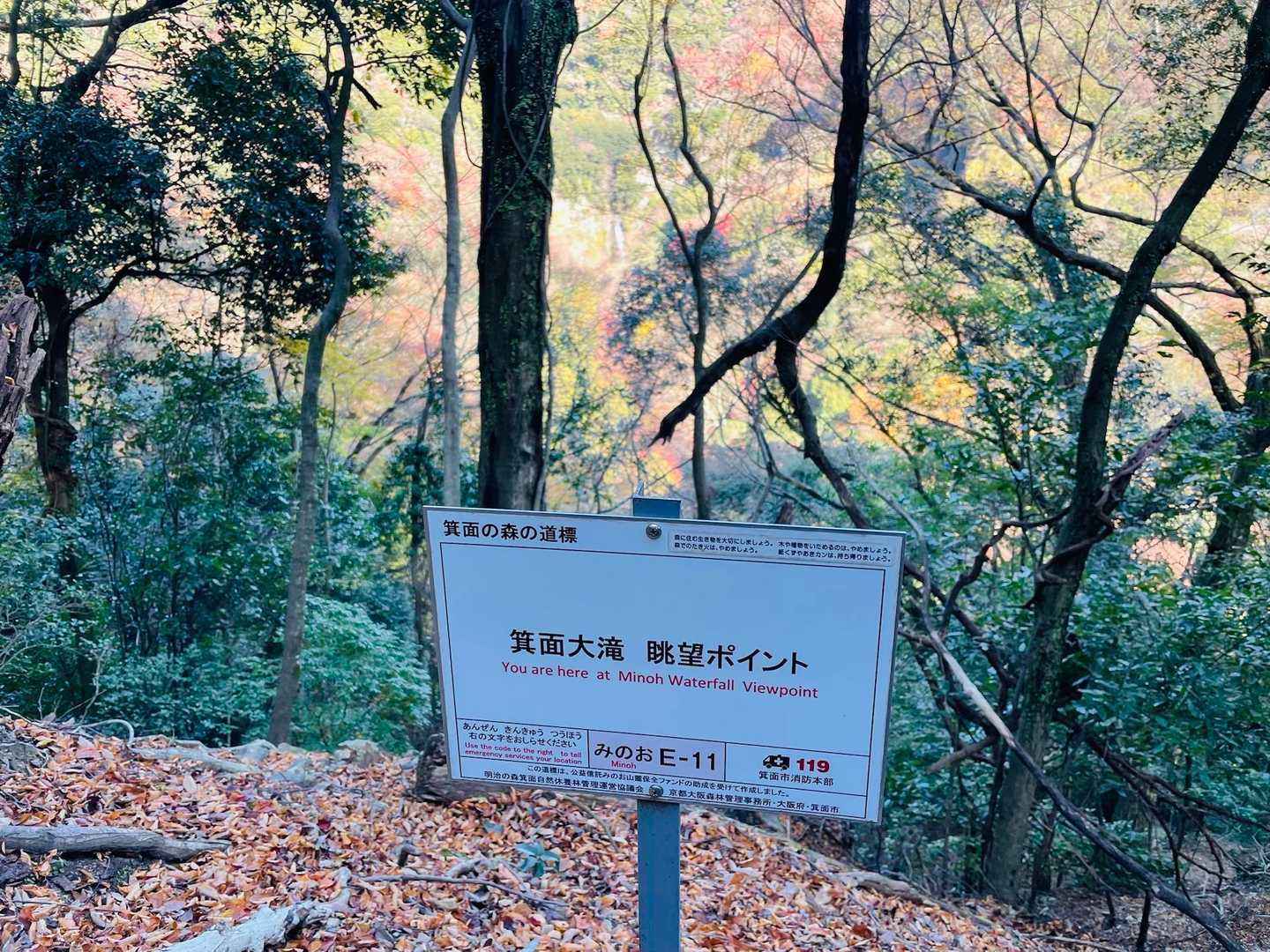 箕面大滝　眺望ポイント